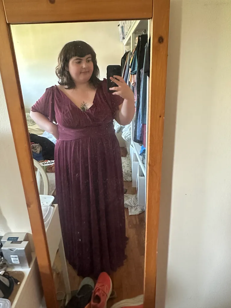 Size 22 wine Davids Bridal bridesmaid gown photo 1