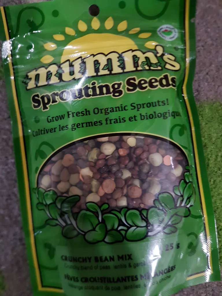 sprouting seeds photo 1