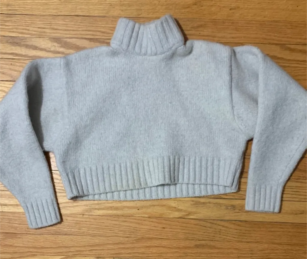 Wilfred turtleneck photo 1