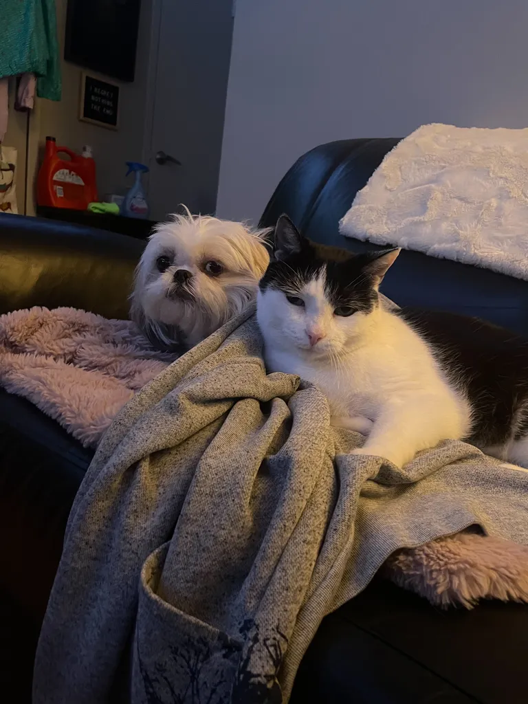 Post I can’t delete  photo 1