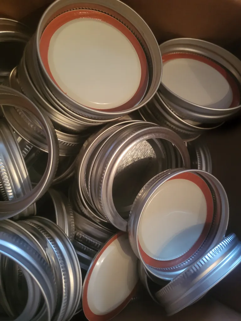 Mason jar lids - free (Sunday at trinity bellwoods park only) photo 1