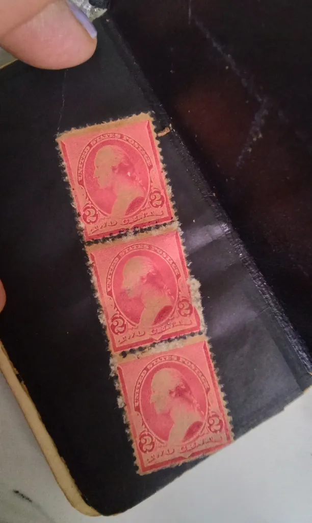 Old New Testament  photo 1