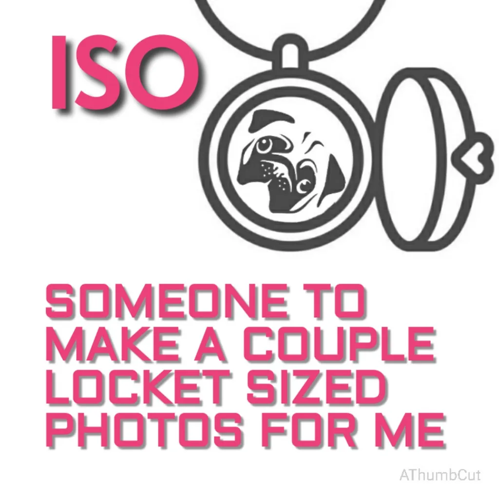 ISO photo 1