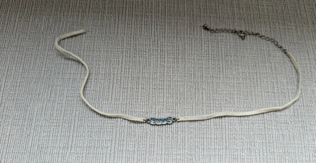 BUDS necklace (Needs Replacement Part) photo 1