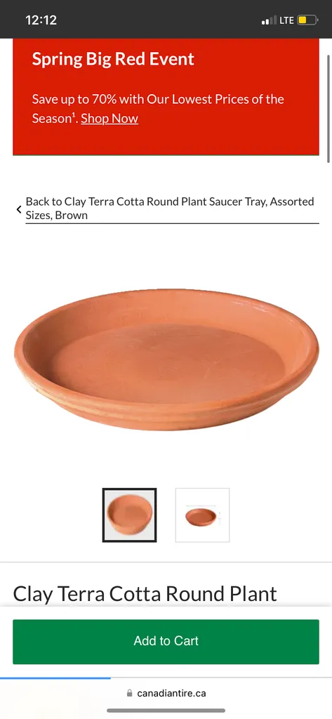 Terra cotta saucers photo 1