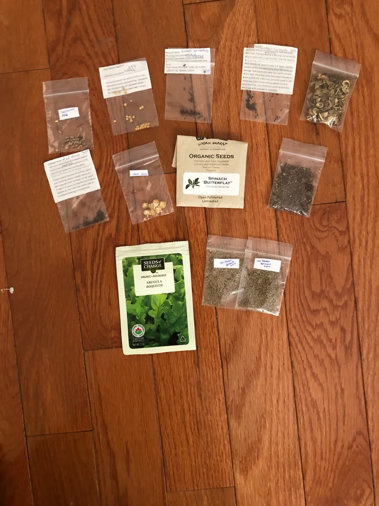 Seeds  photo 1
