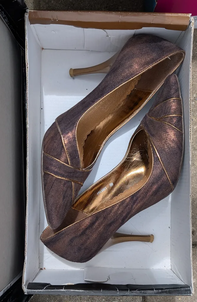 Women's stilettos and professional shoes photo 1