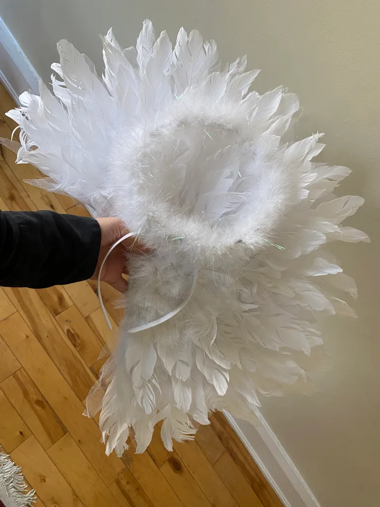 Angel Costume 😇 photo 1