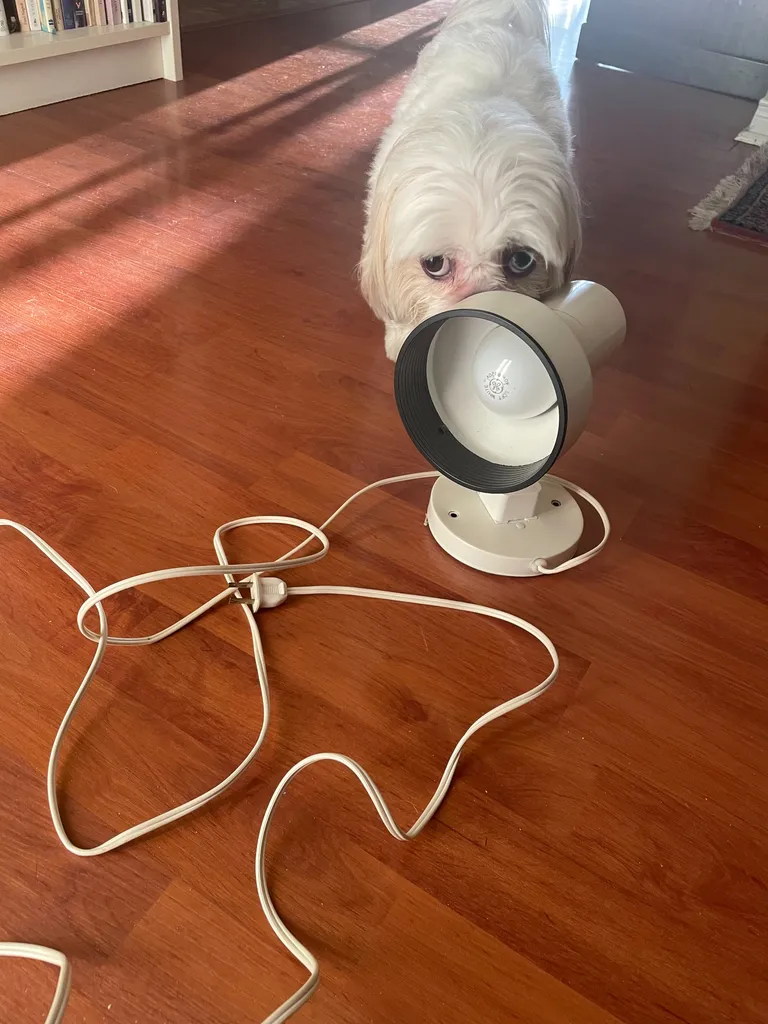 White lamp with working 💡 photo 1