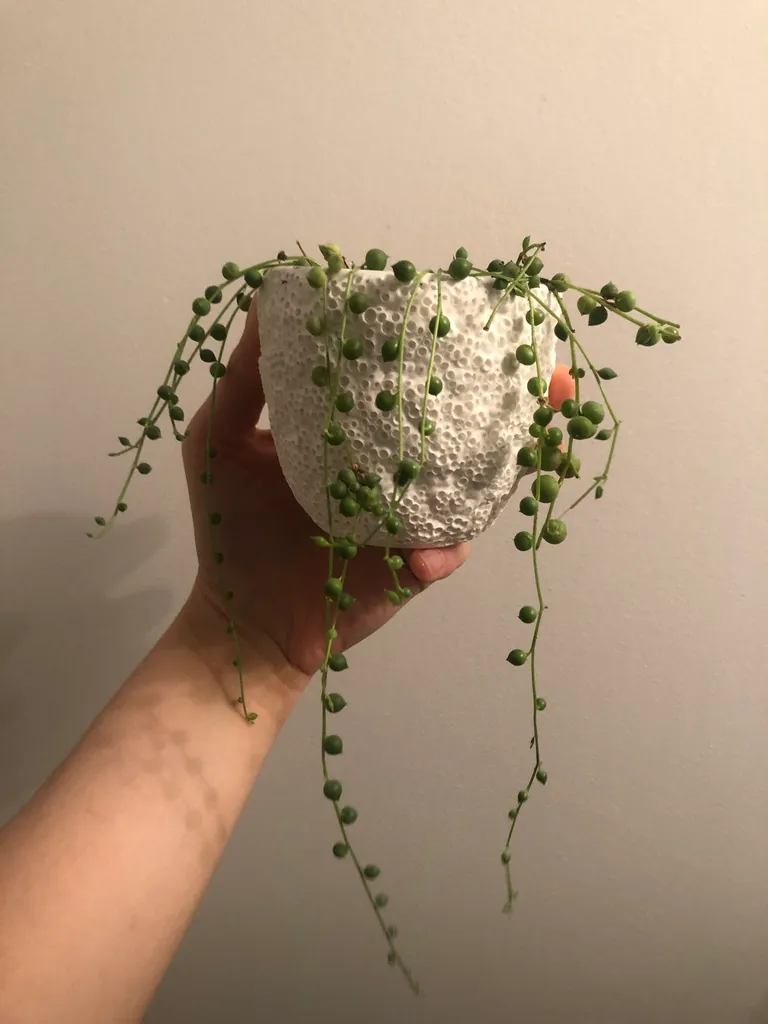 Small White Coral Texture Planter photo 1