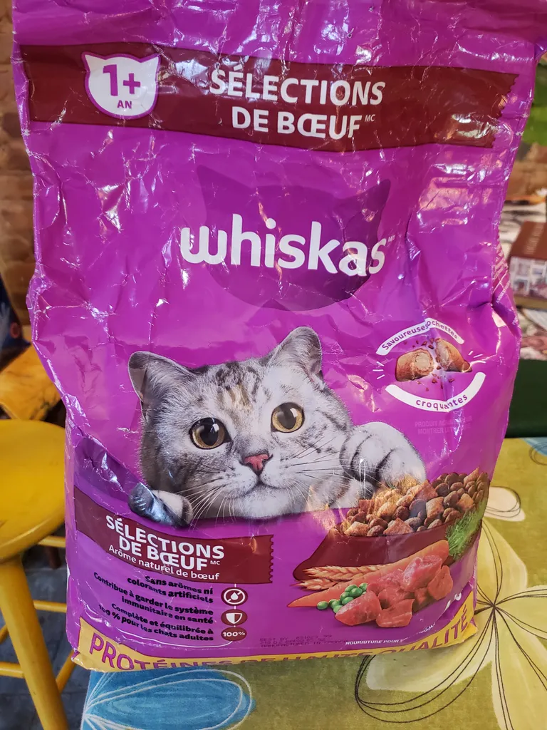 Dry cat food photo 1