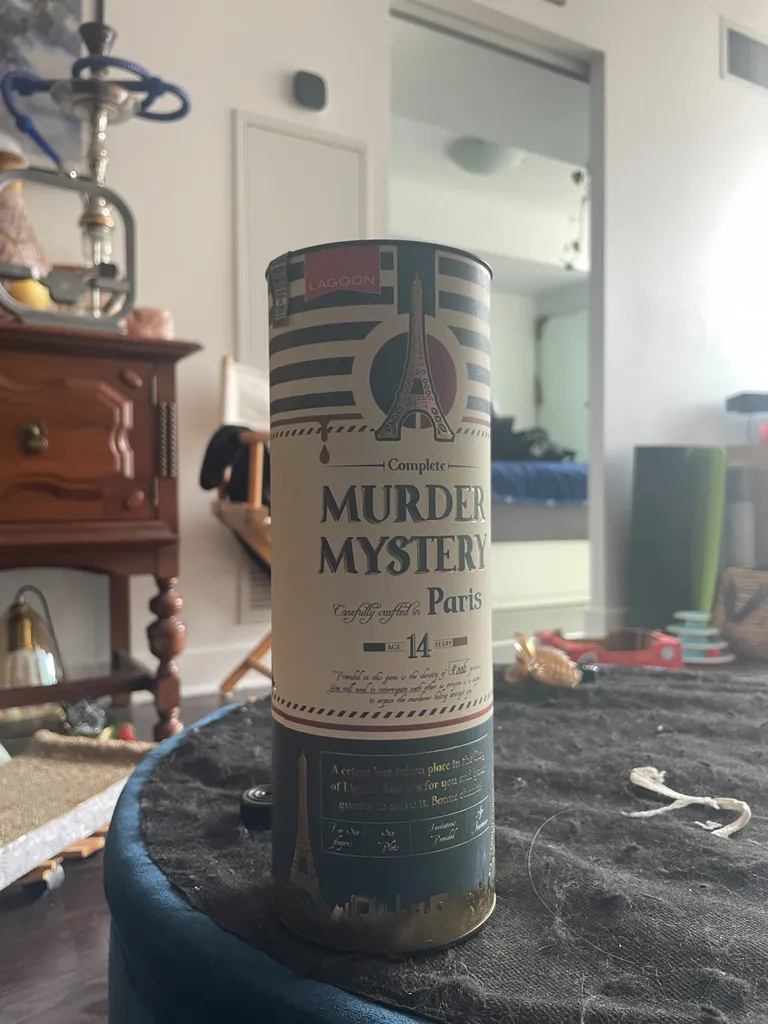Murder Mystery in Paris game photo 1