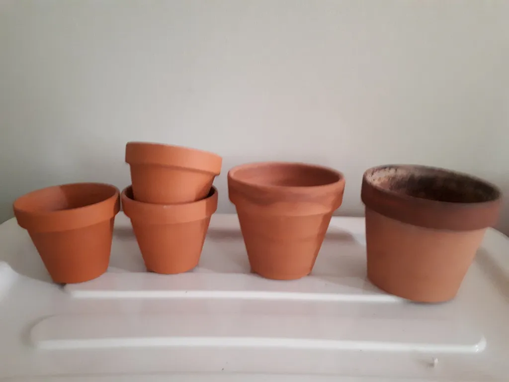 Plant pots photo 1