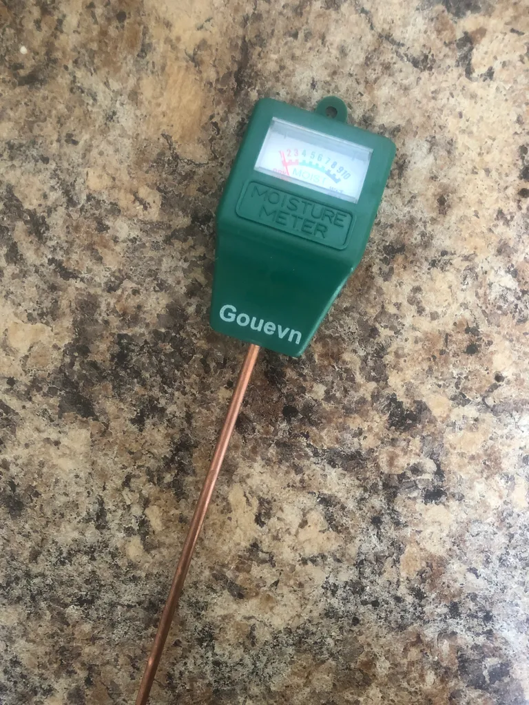 Plant moisture meter photo 1
