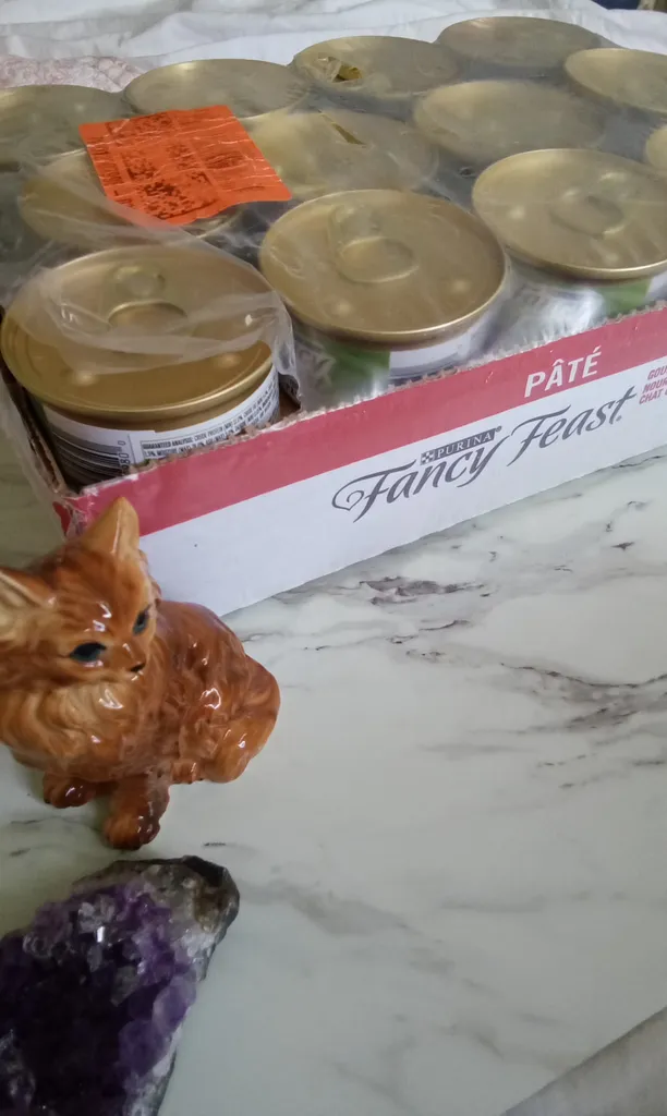 Fancy Feast cans Pate photo 1