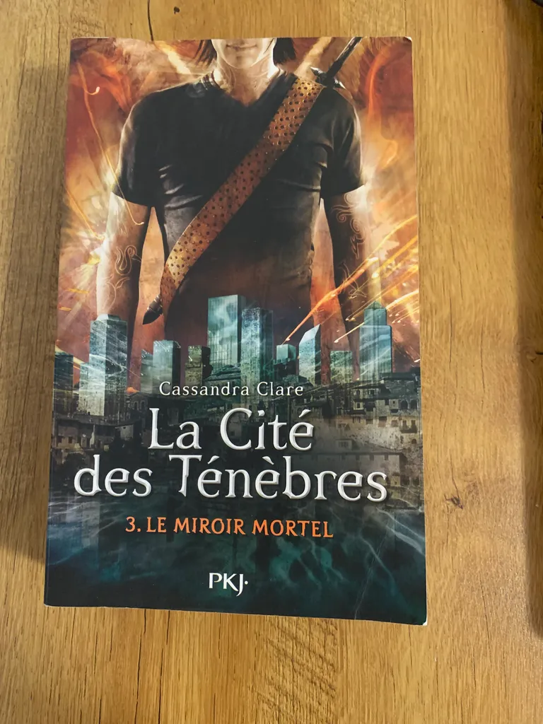 La cité des ténèbres tome 3  photo 1