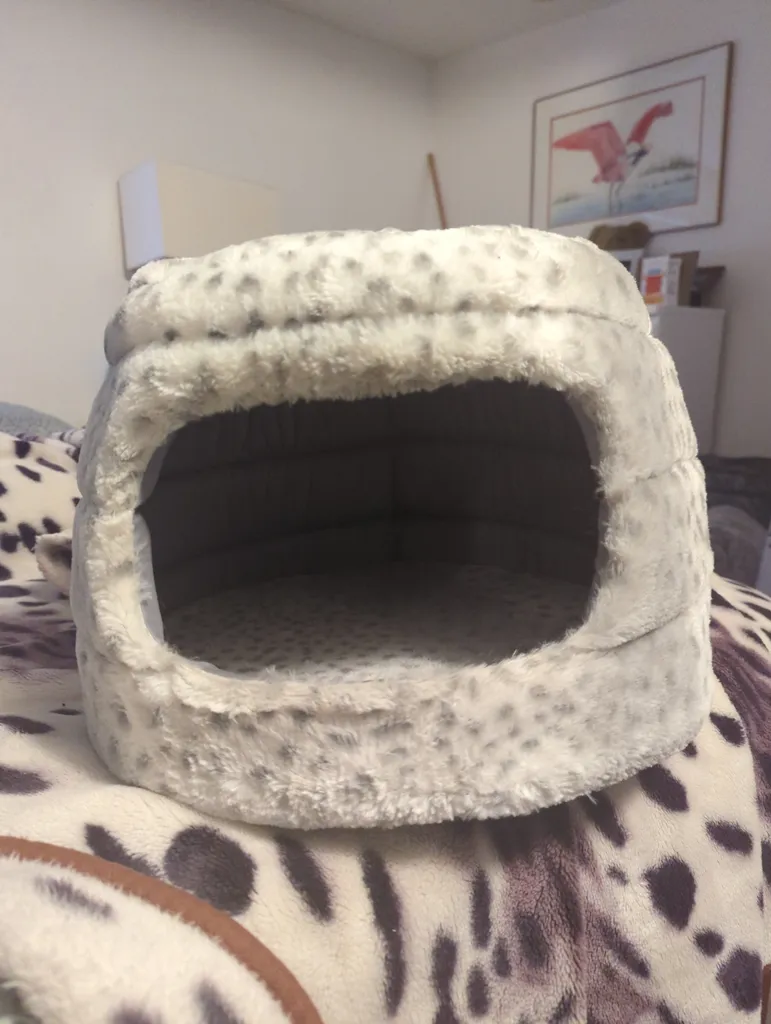 Cat house photo 1