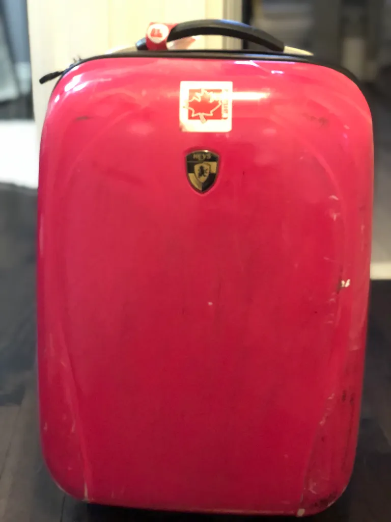 Pink Heys carry on photo 1