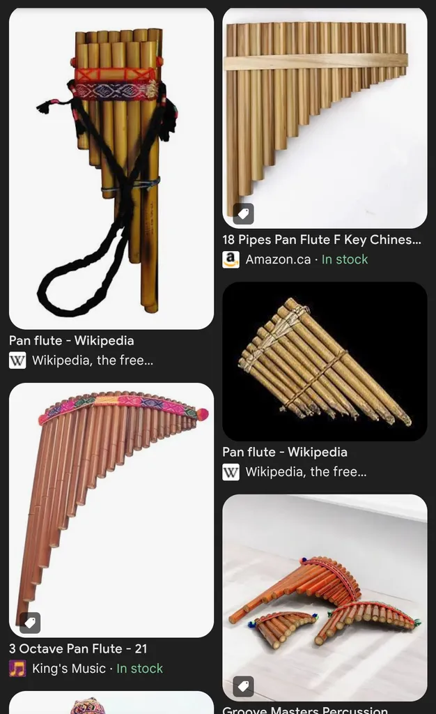 Pan flute or Drone flute photo 1