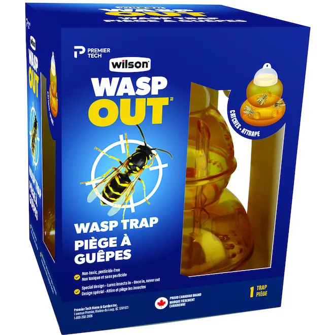 Wasp trap photo 1