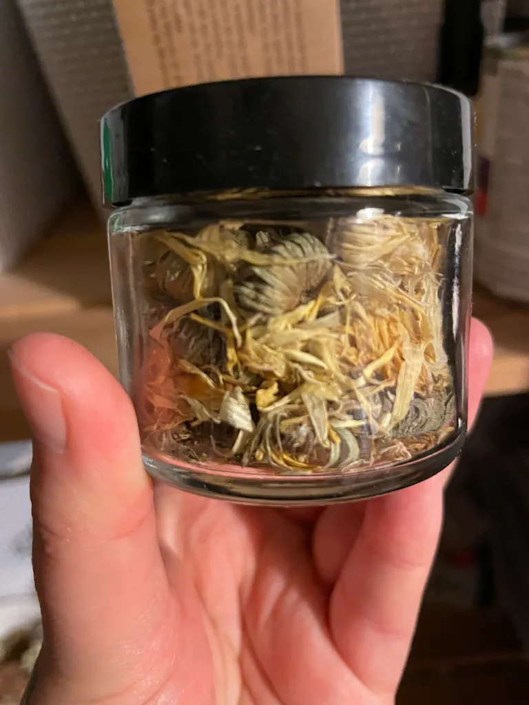 Calendula Flower photo 1