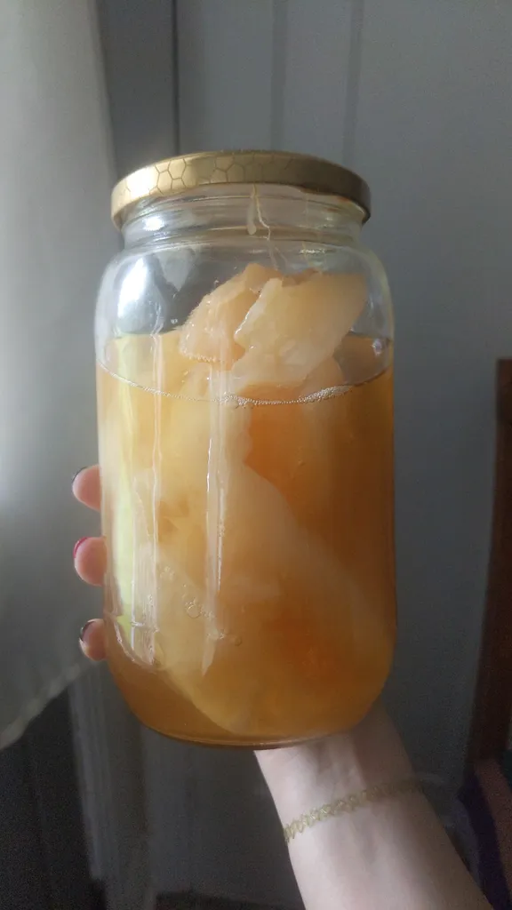 Gigantic kombucha pellicle scoby photo 1