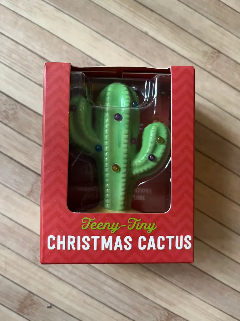 BN Mini Christmas Cactus  photo 1