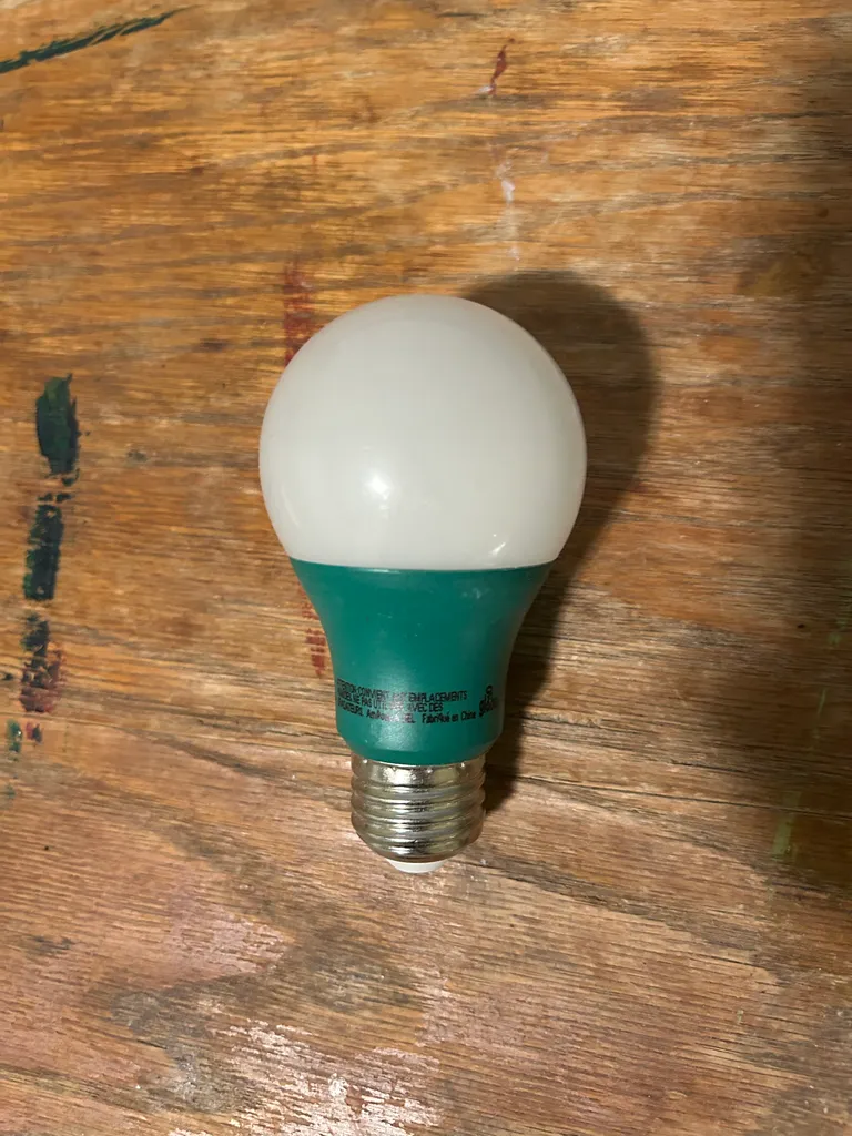 Plant growth lightbulb photo 1