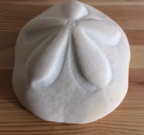 Sea Biscuit -  5" x 4" photo 1