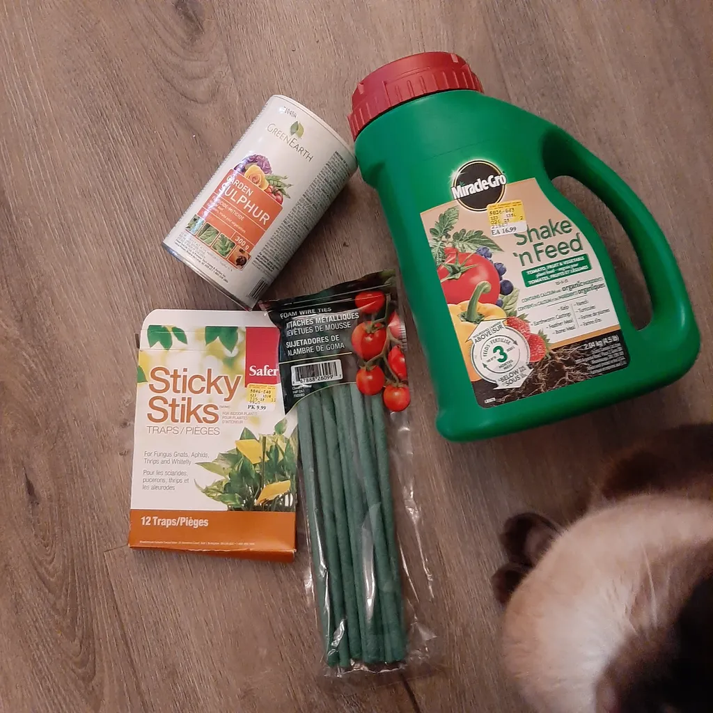 Tomato plant growing items photo 1