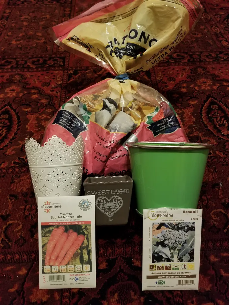 Plant and garden lot photo 1