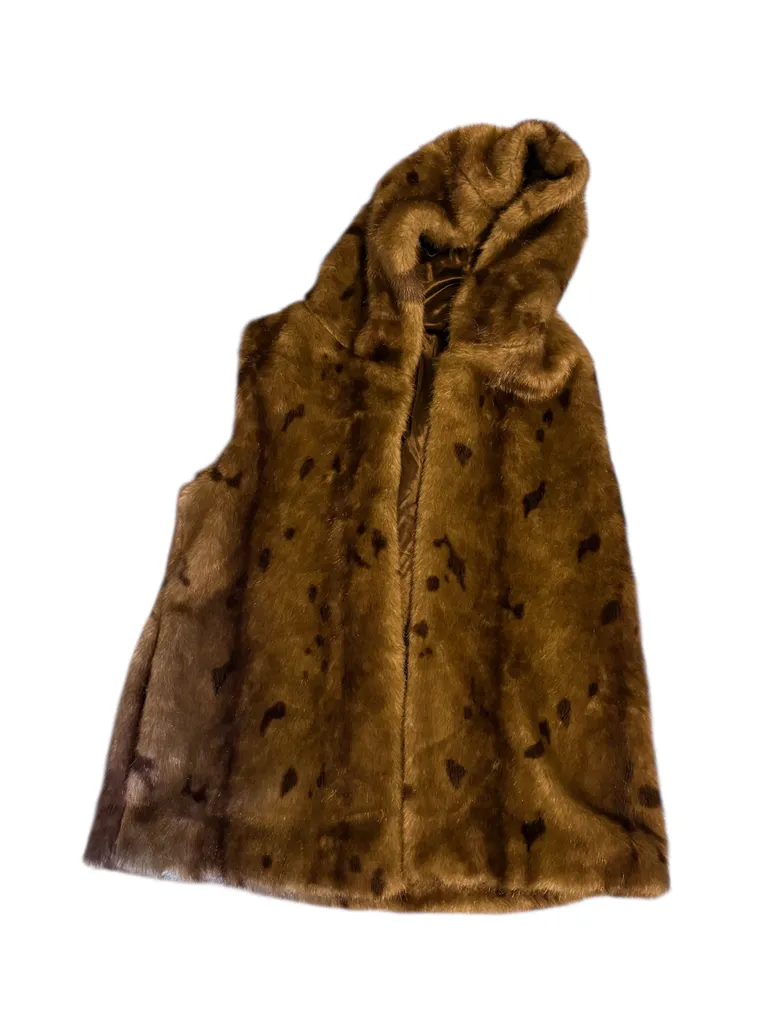 Brown Fur Hooded Vest photo 1