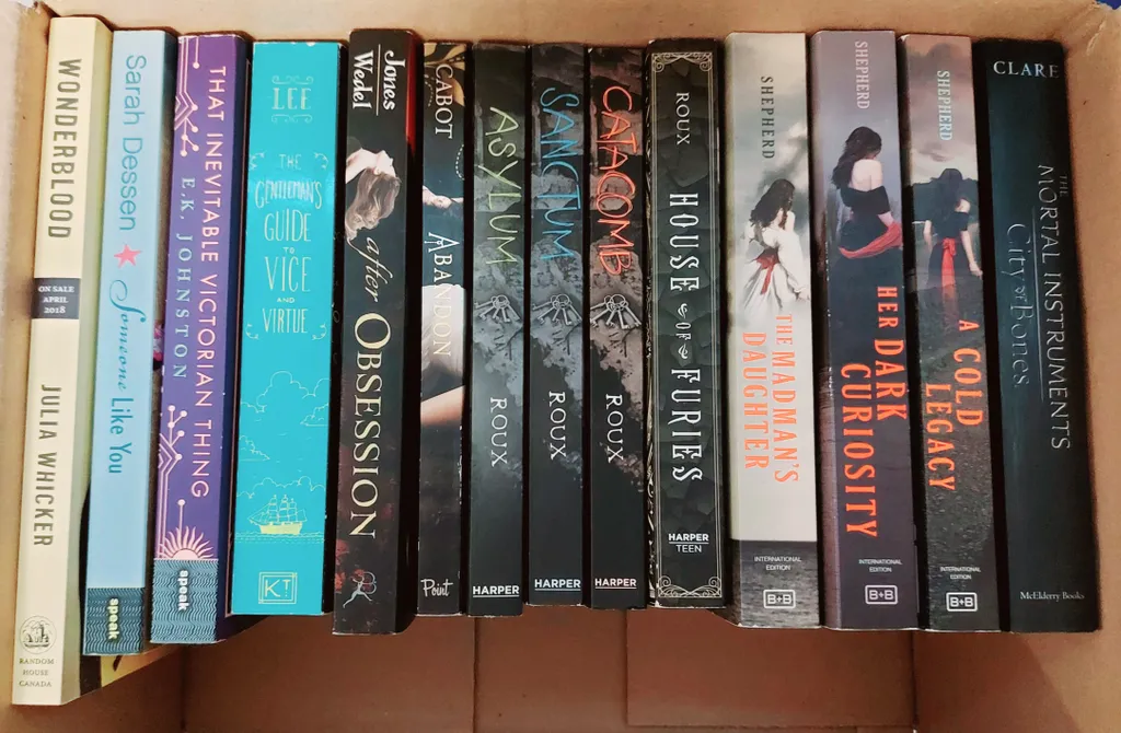 Box of YA Novels photo 1