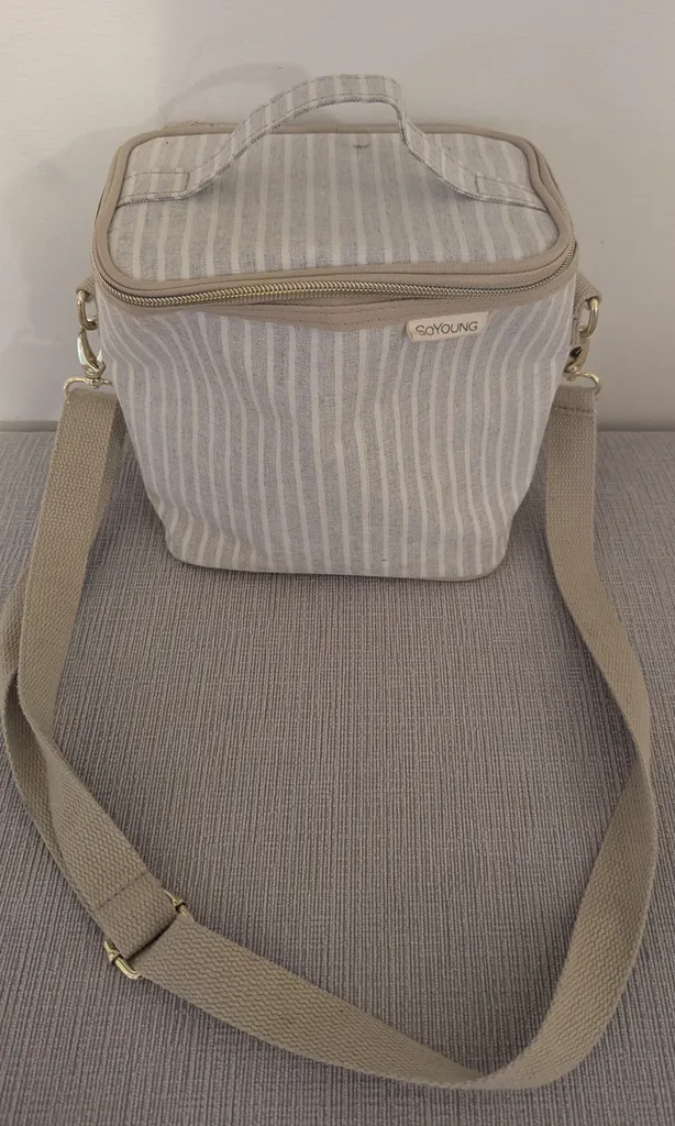 Brand New GoYoung Insulated Lunch Bag photo 1