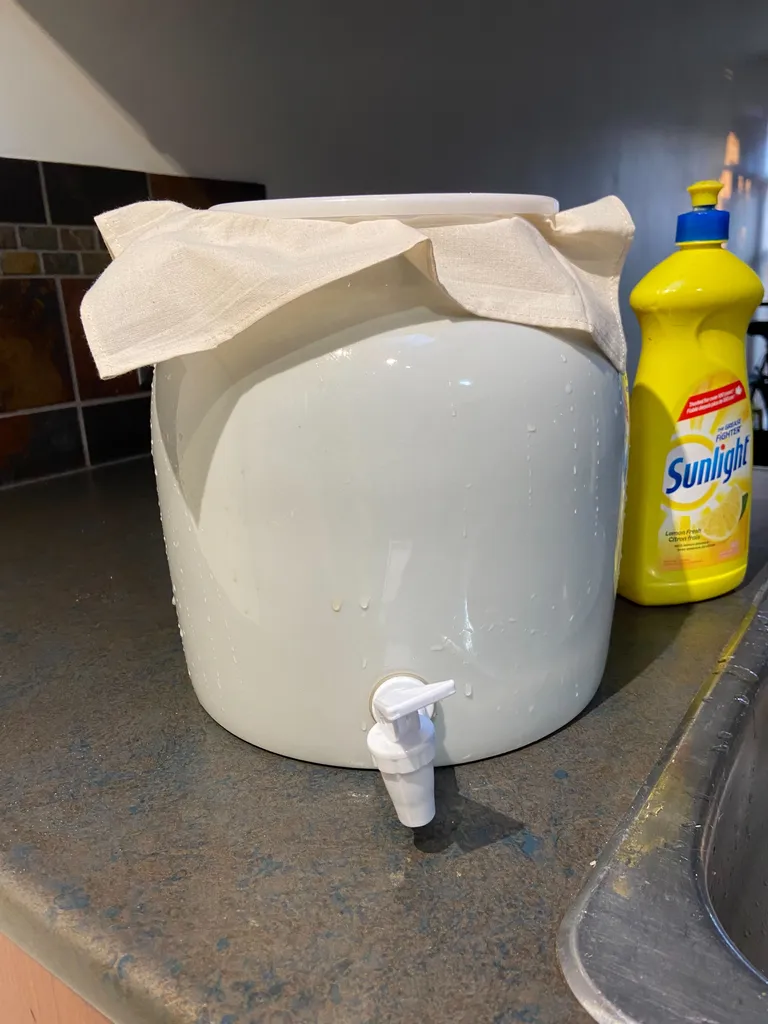 Kombucha jug photo 1