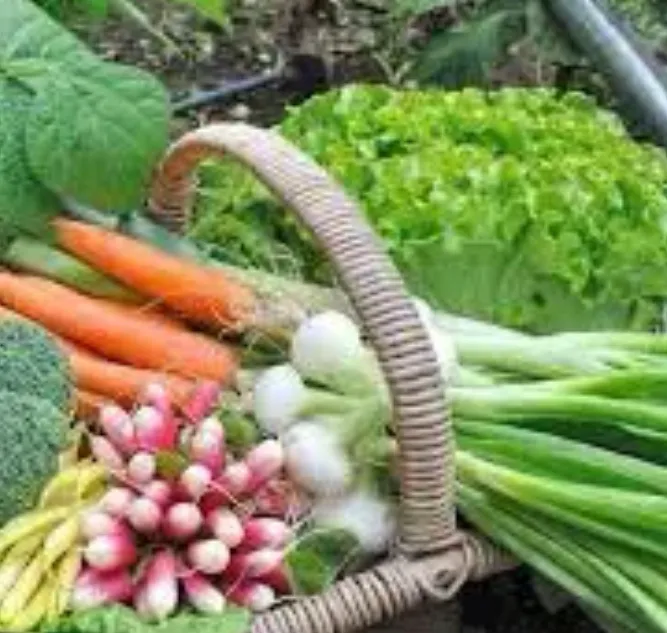 Excess from your garden! photo 1