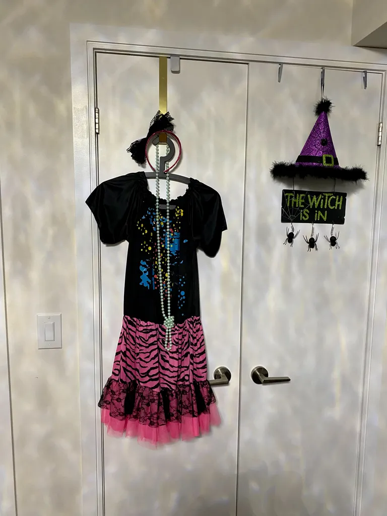 80’s Costume - Dress & Accessories  photo 1