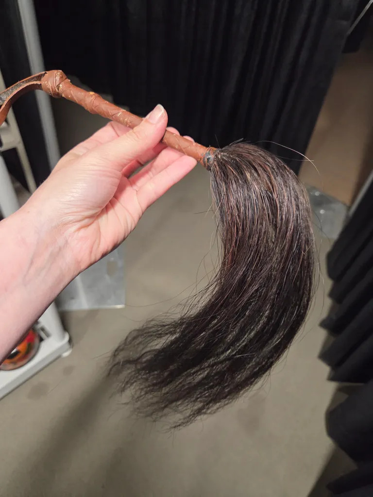 Whip Fly swatter ? photo 1