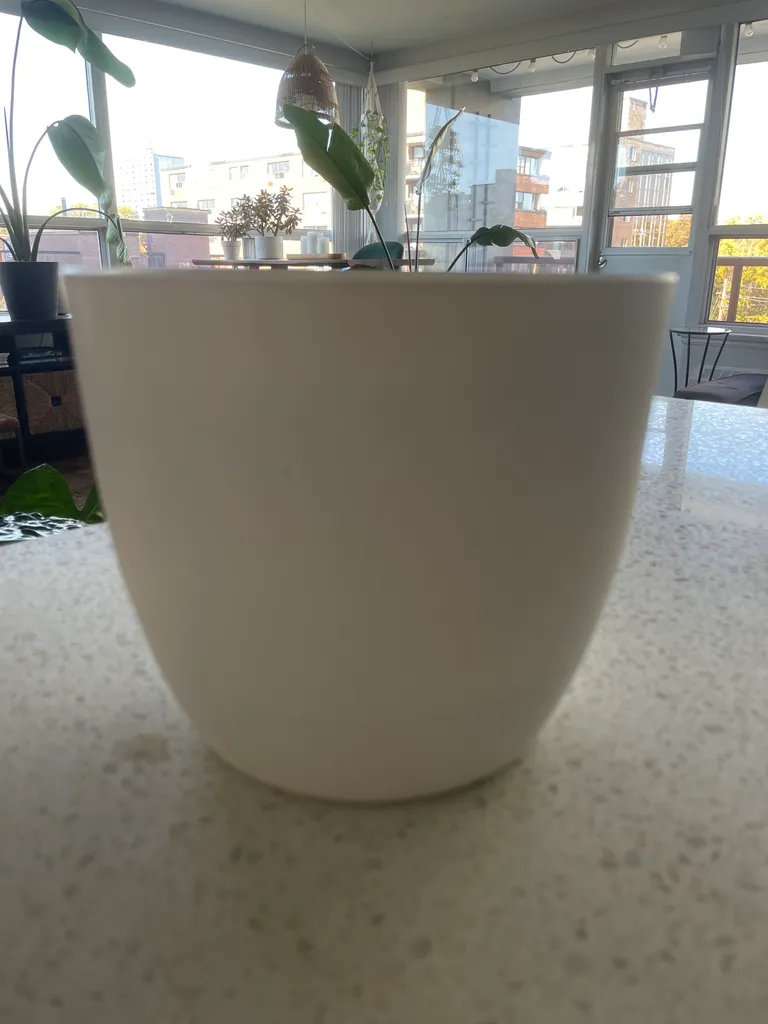 Medium sized planter with drainage tray photo 1