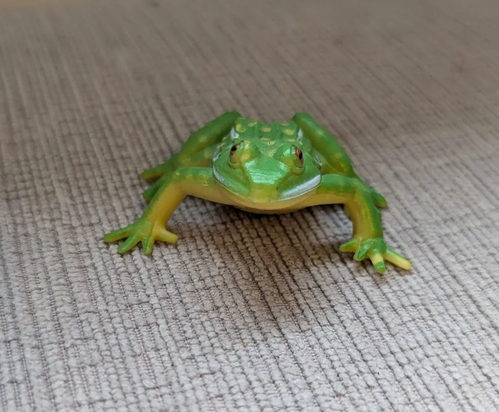 Green Frog Toy photo 1