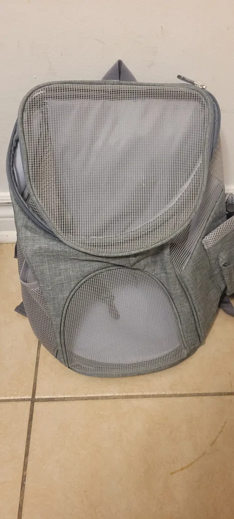 Kitten Carrier photo 1