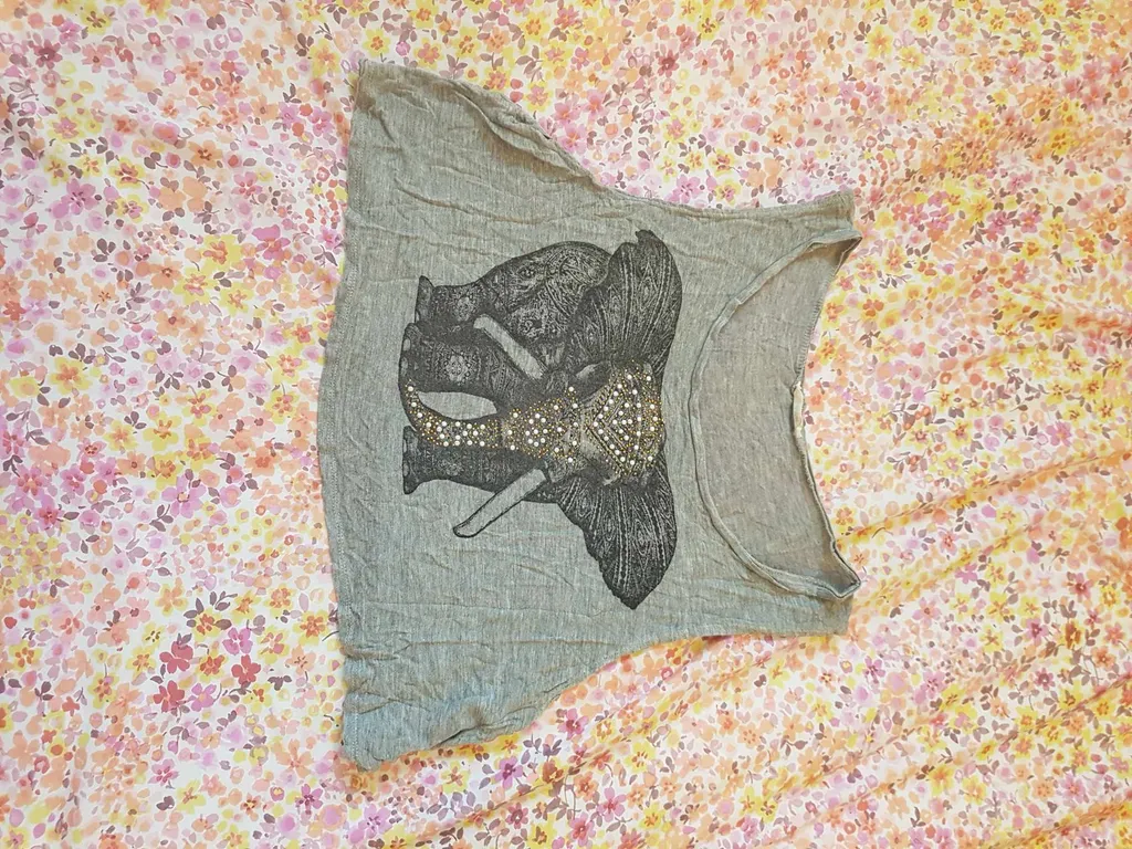 Elephant top photo 1