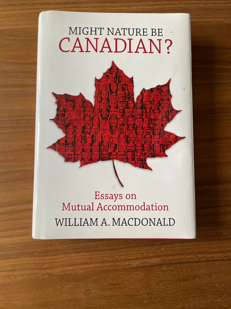 Book (English) photo 1