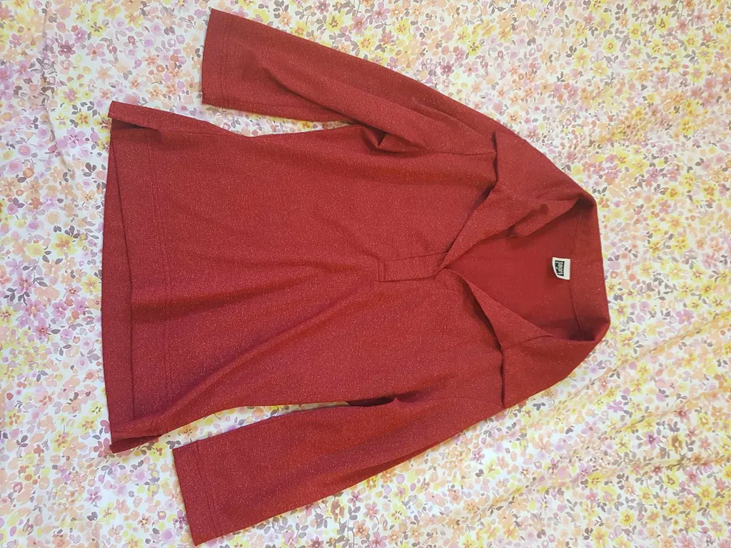 Red top photo 1
