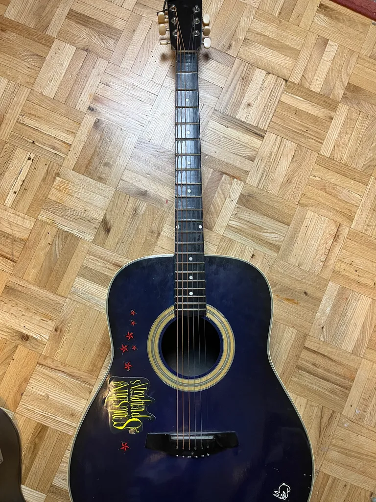 GUITAR + CASE  photo 1