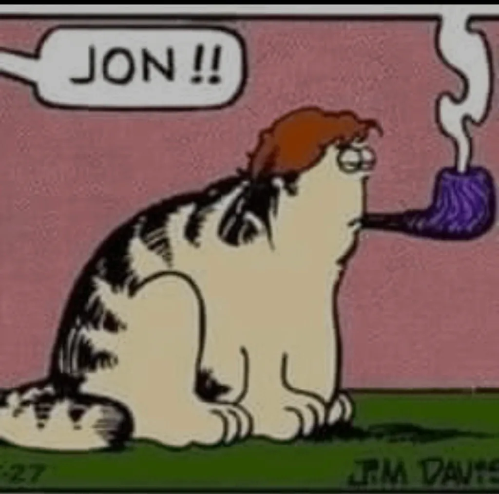 ➕ISO: other/misc items  photo 1