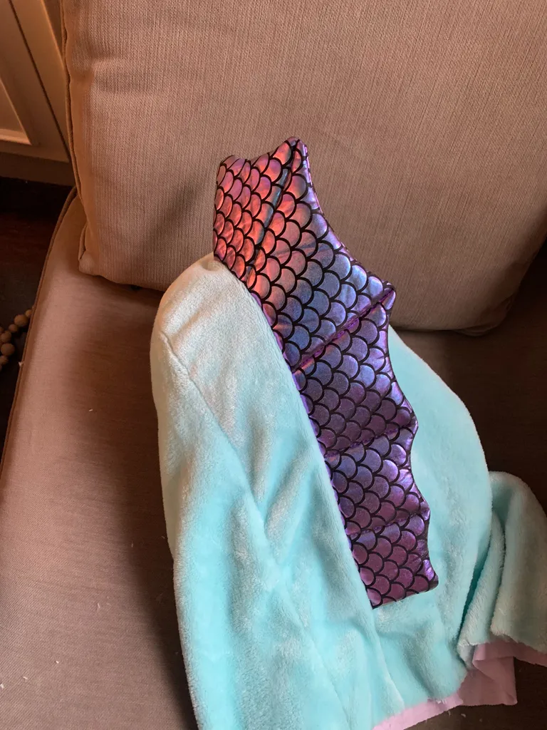 Seahorse head photo 1