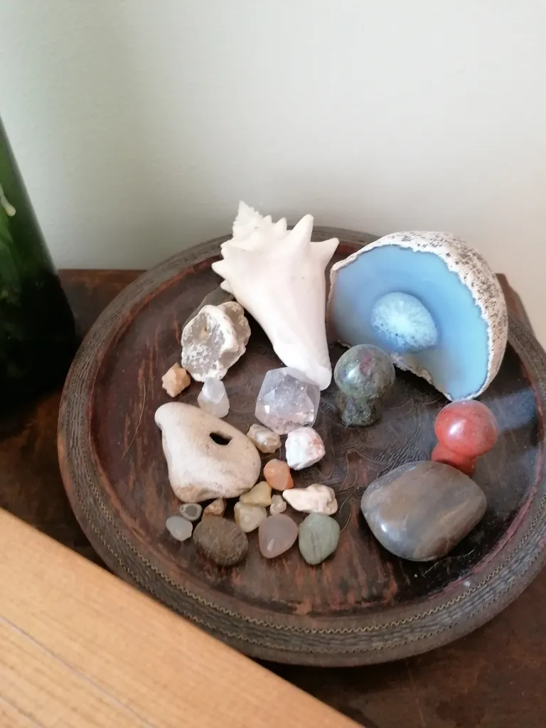 Shells and minerals photo 1