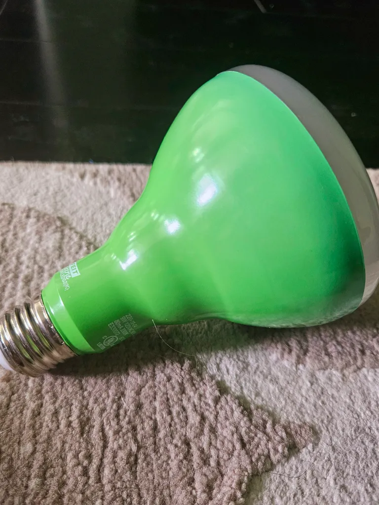 Green Grow Light Bulb photo 1