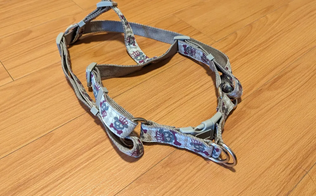 Dog Harness with Skull Design  photo 1